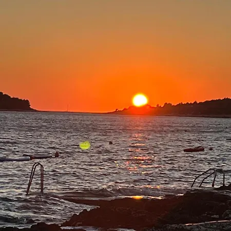 Apartmán Luxury Ledo