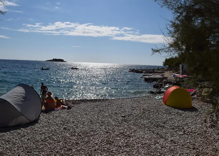 Apartman Luxury Ledo *